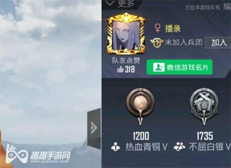 为什么要开和平精英辅助？